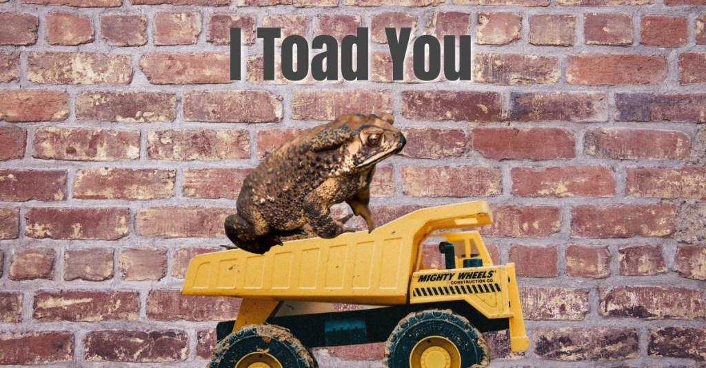I Toad You