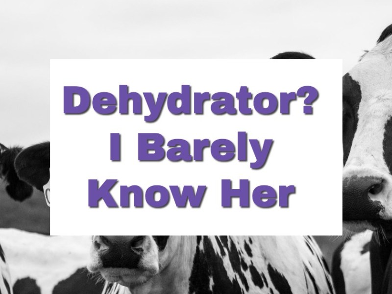Dehydrator? I Barely Know&nbsp;Her