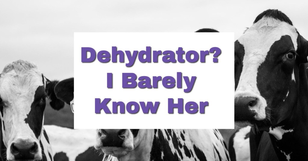 Dehydrator? I Barely Know&nbsp;Her