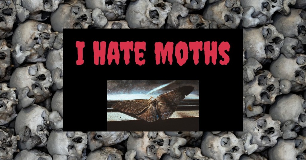 I Hate Moths